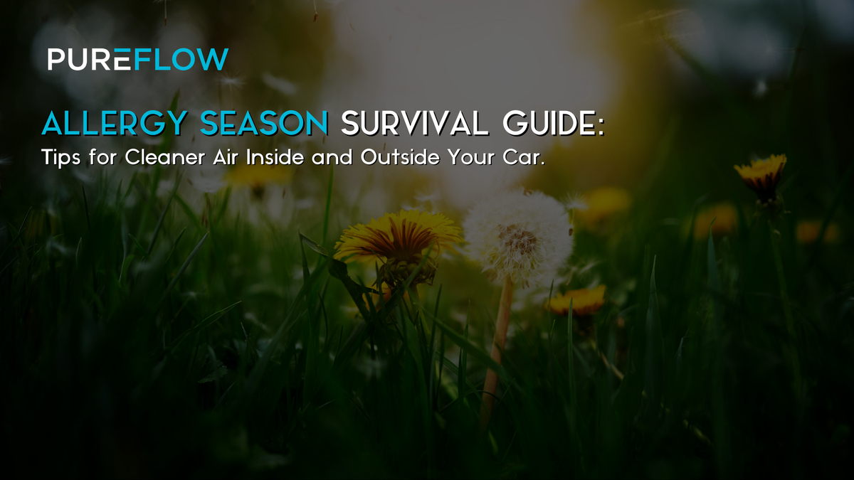 Allergy Season Survival Guide: Tips for Cleaner Air Inside and Outside ...