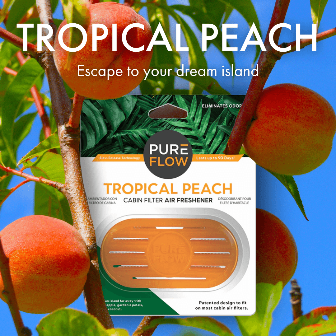 Tropical Peach Car Air Freshener With Odor Eliminator – PUREFLOW AIR