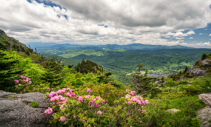 Celebrate Earth Day Every Breath You Take: Simple Steps for Cleaner Air