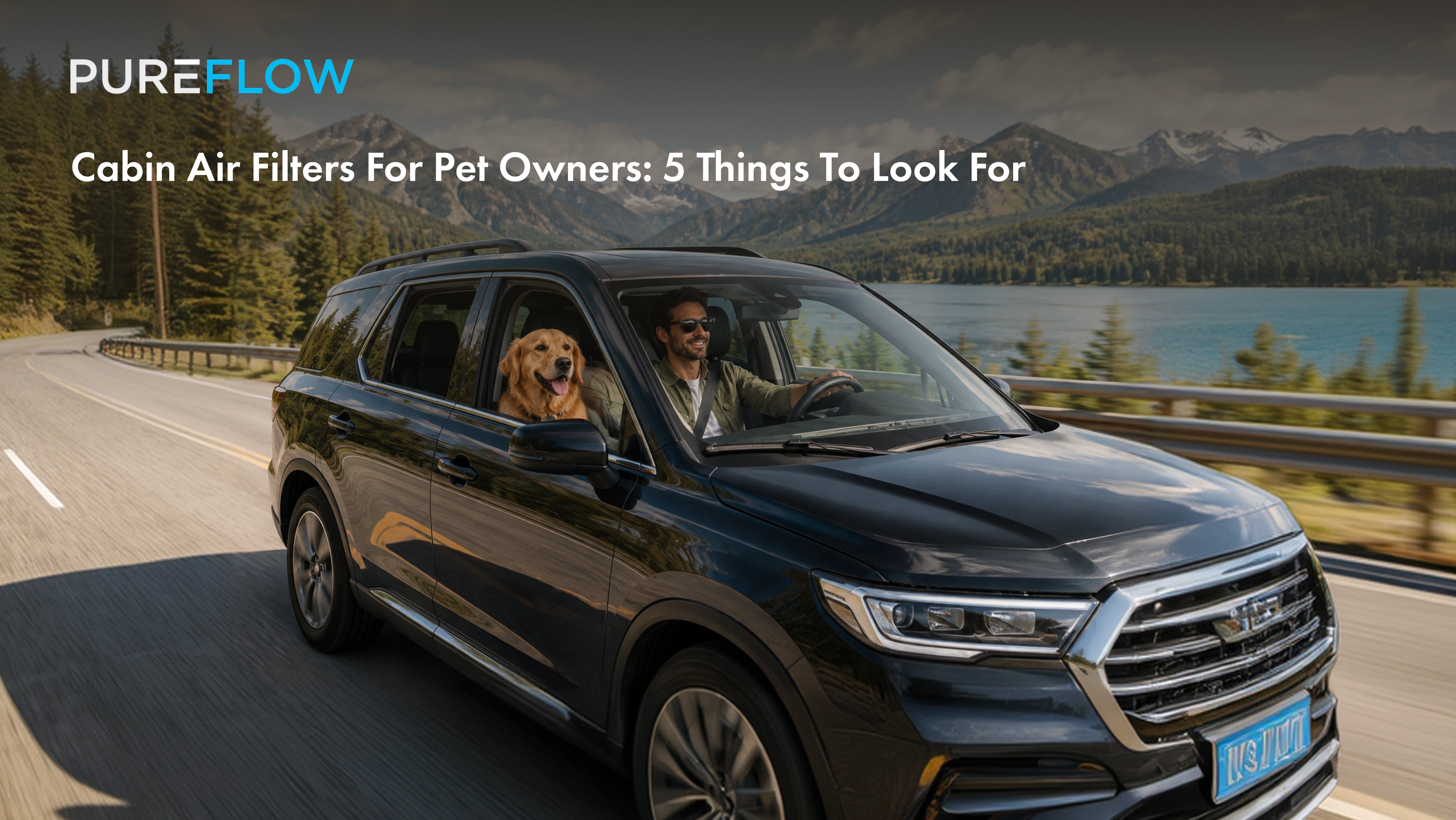 Cabin Air Filters for Pet Owners: 5 Things to Look For