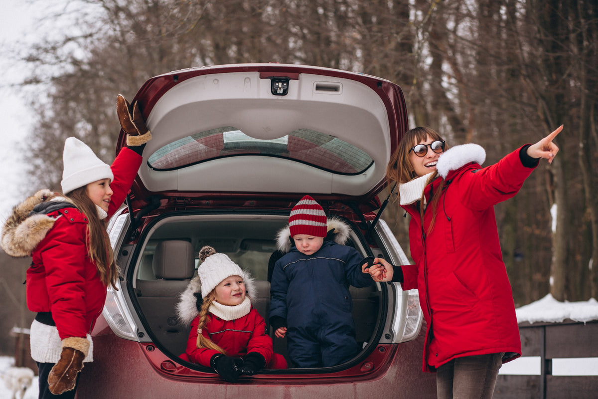 Road Trip Ready: Don't Forget Your Cabin Air Filter This Holiday Season