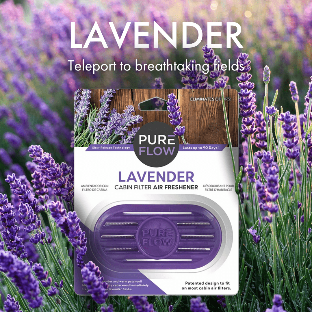 PUREFLOW Cabin Filter Air Freshener with Odor Eliminator – Fits on Most Car, Truck, and SUV Cabin Air Filters - Lavender