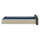 PUREFLOW 2026 Mazda CX-50 Cabin Air Filter with HEPA and Antibacterial Technology, PC99818HX