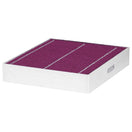 Febreze Odor Control HEPA Cabin Air Filter by PUREFLOW RZ18095H | Fits 2015 BMW 228i xDrive