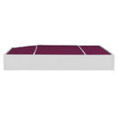 Febreze Odor Control HEPA Cabin Air Filter by PUREFLOW RZ18151H | Fits 2022 BMW M440i xDrive