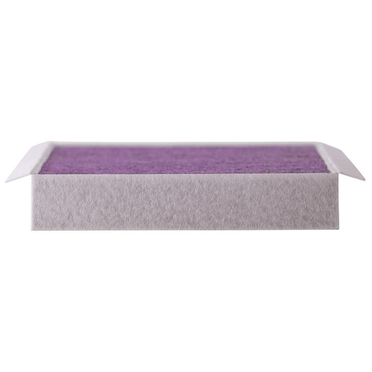 Febreze Odor Control Cabin Air Filter by PUREFLOW RZ16028 | Fits 2002 Chevrolet Chevy Pickup