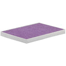 Febreze Odor Control Cabin Air Filter by PUREFLOW RZ17050 | Fits 2021 Tesla S