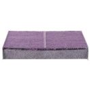 Febreze Odor Control Cabin Air Filter by PUREFLOW RZ18088 | Fits 2027 VinFast VF9