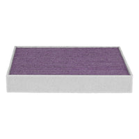 Load image into Gallery viewer, Febreze Odor Control Cabin Air Filter by PUREFLOW RZ18125 | Fits 2022 Rivian EDV-500