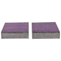 Load image into Gallery viewer, Febreze Odor Control Cabin Air Filter by PUREFLOW RZ19171 | Fits 2010 Honda Element
