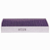 Load image into Gallery viewer, Febreze Odor Control Cabin Air Filter by PUREFLOW RZ19174 | Fits 2027 Genesis G80