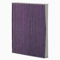 Load image into Gallery viewer, Febreze Odor Control Cabin Air Filter by PUREFLOW RZ19202 | Fits 2006 Kia Magentis