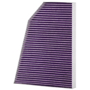 Febreze Odor Control Cabin Air Filter by PUREFLOW RZ19221 | Fits 2020 Tesla X