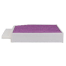 Febreze Odor Control Cabin Air Filter by PUREFLOW RZ19300 | Fits 2019 Mercedes-Benz C200