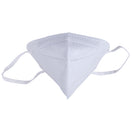 Face Mask RM795 Ãƒâ€šÃ¢â‚¬â€œ Disposable, Pack of 5 Masks